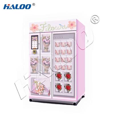 Haloo Vending Machine Supplie R20 Locker Touch Screen Kwiatówka