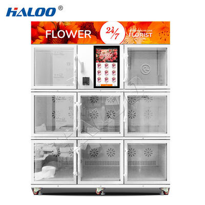 Haloo 24-hour flower vending machine with galvanized sheet material and SDK function, suitable for outdoor and indoor