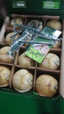 OEM Automat do sprzedaży świeżych owoców Combo z siecią Locker 4G